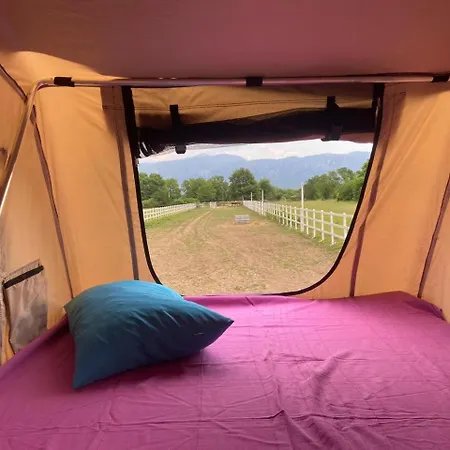 Escape Montenegro Campervan Tranzit *